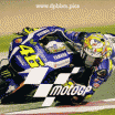 Animasi Gif gambar bergerak VR46 MotoGP 2016 Autodromo Termas de Rio Hondo Argentina