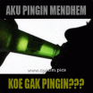 DP BBM Lucu Bahasa Jawa Pingin Mendem Oplosan