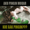 DP BBM Lucu Bahasa Jawa Pingin Modar