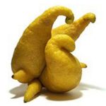 DP BBM Lucu Buah Aneh Buah Aneh Gokil Bikin Ngakak