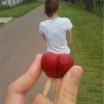 DP BBM Lucu Buah Aneh Dan Enak Gokil Bikin Ngakak