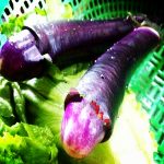 DP BBM Lucu Buah Aneh Mirip Payudara Gokil Bikin Ngakak