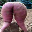 DP BBM Lucu Es Buah Aneh Gokil Bikin Ngakak
