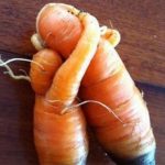 DP BBM Lucu Foto Buah Berbentuk Aneh Gokil Bikin Ngakak