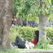 Foto ABG Mesum di Tempat Terbuka