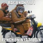 Meme Monyet Mudik Lebaran