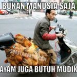 Meme Mudik Lebaran 2016 Ayam Juga Perlu Mudik